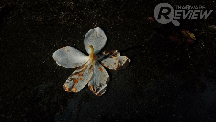 Sony Xperia XA1 Ultra สมาร์ทโฟนจอใหญ่ 6 นิ้ว ภาพสวยเสียงดี ในราคาที่ใครก็เป็นเจ้าของได้