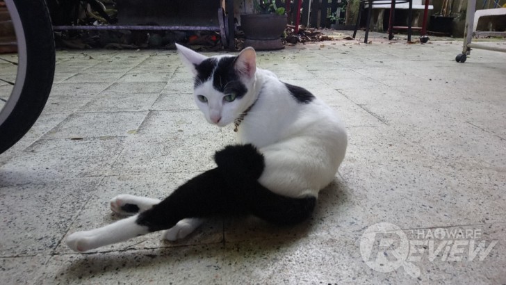 Sony Xperia XA1 Ultra สมาร์ทโฟนจอใหญ่ 6 นิ้ว ภาพสวยเสียงดี ในราคาที่ใครก็เป็นเจ้าของได้