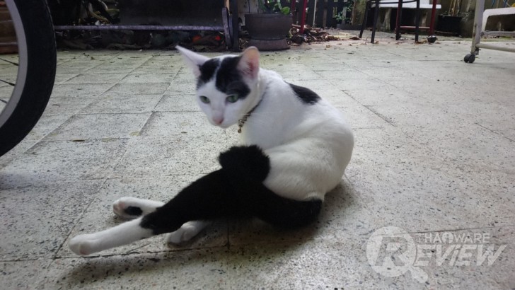 Sony Xperia XA1 Ultra สมาร์ทโฟนจอใหญ่ 6 นิ้ว ภาพสวยเสียงดี ในราคาที่ใครก็เป็นเจ้าของได้