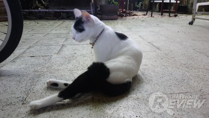 Sony Xperia XA1 Ultra สมาร์ทโฟนจอใหญ่ 6 นิ้ว ภาพสวยเสียงดี ในราคาที่ใครก็เป็นเจ้าของได้