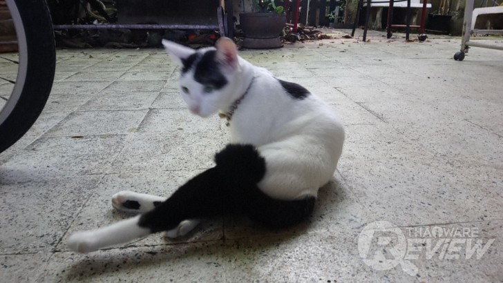 Sony Xperia XA1 Ultra สมาร์ทโฟนจอใหญ่ 6 นิ้ว ภาพสวยเสียงดี ในราคาที่ใครก็เป็นเจ้าของได้