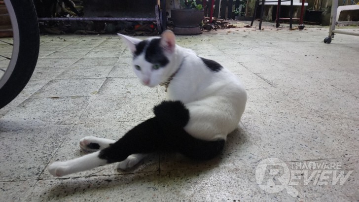 Sony Xperia XA1 Ultra สมาร์ทโฟนจอใหญ่ 6 นิ้ว ภาพสวยเสียงดี ในราคาที่ใครก็เป็นเจ้าของได้