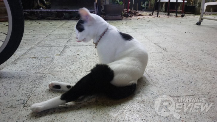 Sony Xperia XA1 Ultra สมาร์ทโฟนจอใหญ่ 6 นิ้ว ภาพสวยเสียงดี ในราคาที่ใครก็เป็นเจ้าของได้