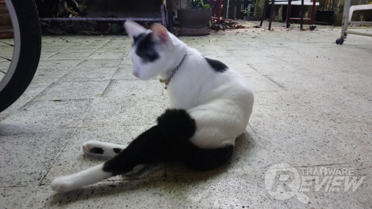 Sony Xperia XA1 Ultra สมาร์ทโฟนจอใหญ่ 6 นิ้ว ภาพสวยเสียงดี ในราคาที่ใครก็เป็นเจ้าของได้