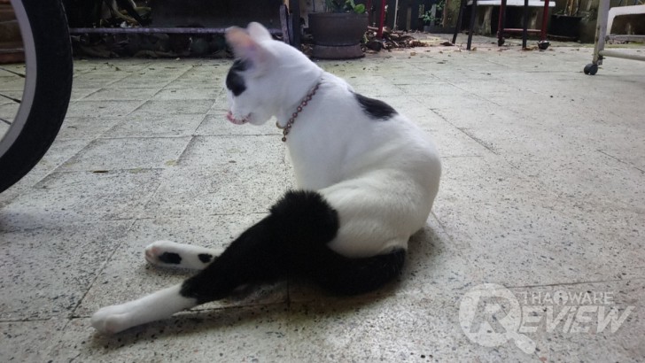 Sony Xperia XA1 Ultra สมาร์ทโฟนจอใหญ่ 6 นิ้ว ภาพสวยเสียงดี ในราคาที่ใครก็เป็นเจ้าของได้