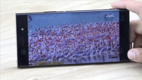 Sony Xperia XA1 Ultra สมาร์ทโฟนจอใหญ่ 6 นิ้ว ภาพสวยเสียงดี ในราคาที่ใครก็เป็นเจ้าของได้