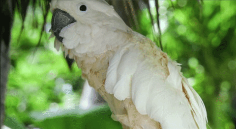 Casio XJ-V2 โปรเจคเตอร์ราคาเบาๆ ฉายภาพสวย ใช้งานยาวนานด้วยหลอดฉาย Lamp Free