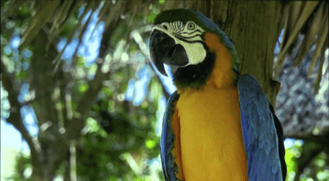 Casio XJ-V2 โปรเจคเตอร์ราคาเบาๆ ฉายภาพสวย ใช้งานยาวนานด้วยหลอดฉาย Lamp Free