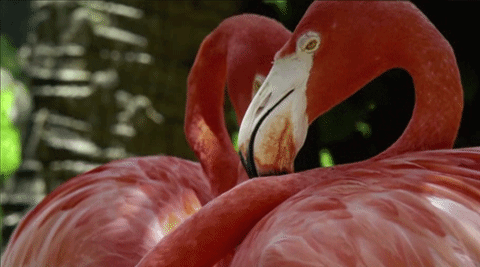 Casio XJ-V2 โปรเจคเตอร์ราคาเบาๆ ฉายภาพสวย ใช้งานยาวนานด้วยหลอดฉาย Lamp Free