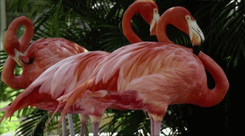 Casio XJ-V2 โปรเจคเตอร์ราคาเบาๆ ฉายภาพสวย ใช้งานยาวนานด้วยหลอดฉาย Lamp Free