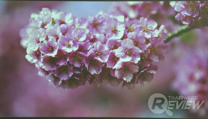 Casio XJ-V2 โปรเจคเตอร์ราคาเบาๆ ฉายภาพสวย ใช้งานยาวนานด้วยหลอดฉาย Lamp Free