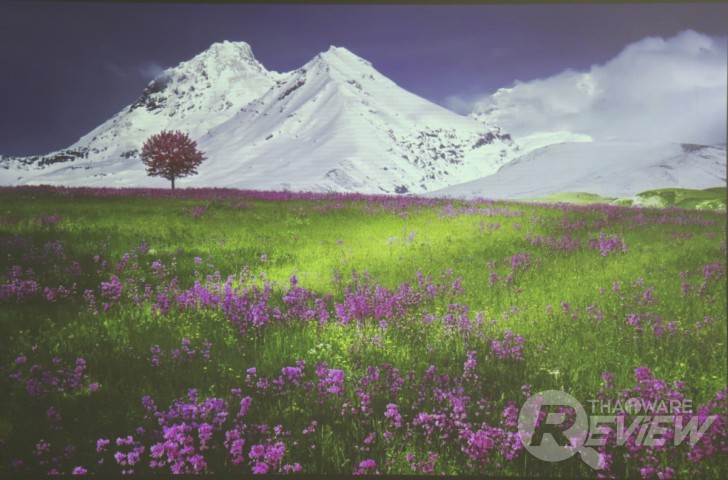 Casio XJ-V2 โปรเจคเตอร์ราคาเบาๆ ฉายภาพสวย ใช้งานยาวนานด้วยหลอดฉาย Lamp Free