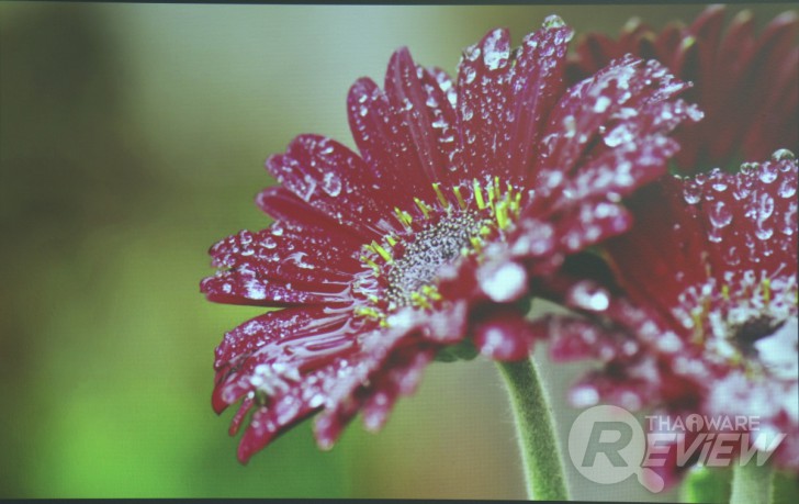Casio XJ-V2 โปรเจคเตอร์ราคาเบาๆ ฉายภาพสวย ใช้งานยาวนานด้วยหลอดฉาย Lamp Free