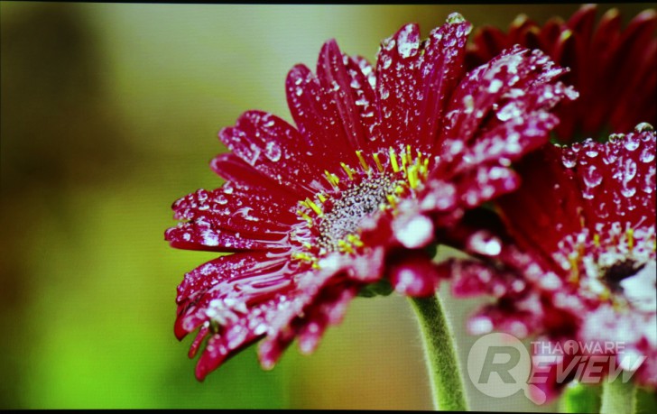 Casio XJ-V2 โปรเจคเตอร์ราคาเบาๆ ฉายภาพสวย ใช้งานยาวนานด้วยหลอดฉาย Lamp Free