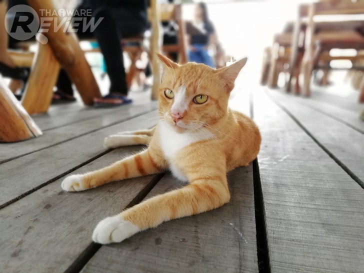 Huawei Nova 2i สมาร์ทโฟนราคากลางๆ ที่มาพร้อมสเปกเกือบเท่าเรือธง