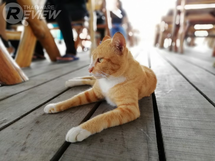 Huawei Nova 2i สมาร์ทโฟนราคากลางๆ ที่มาพร้อมสเปกเกือบเท่าเรือธง