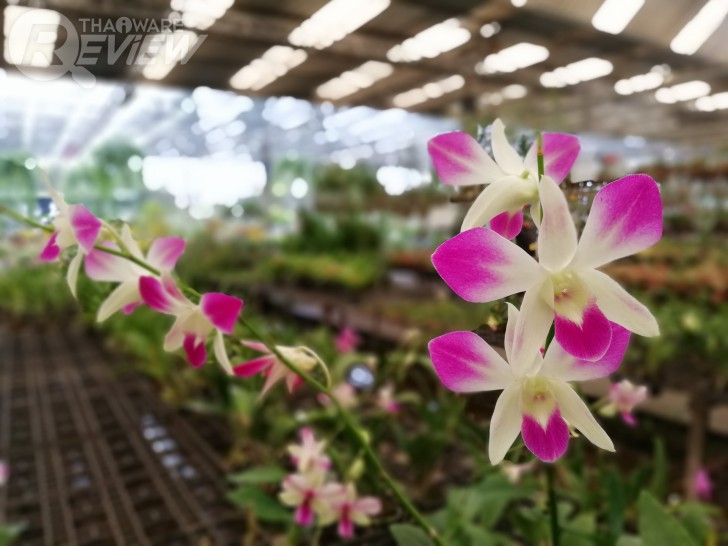 Huawei Nova 2i สมาร์ทโฟนราคากลางๆ ที่มาพร้อมสเปกเกือบเท่าเรือธง