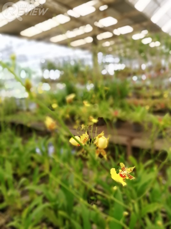 Huawei Nova 2i สมาร์ทโฟนราคากลางๆ ที่มาพร้อมสเปกเกือบเท่าเรือธง