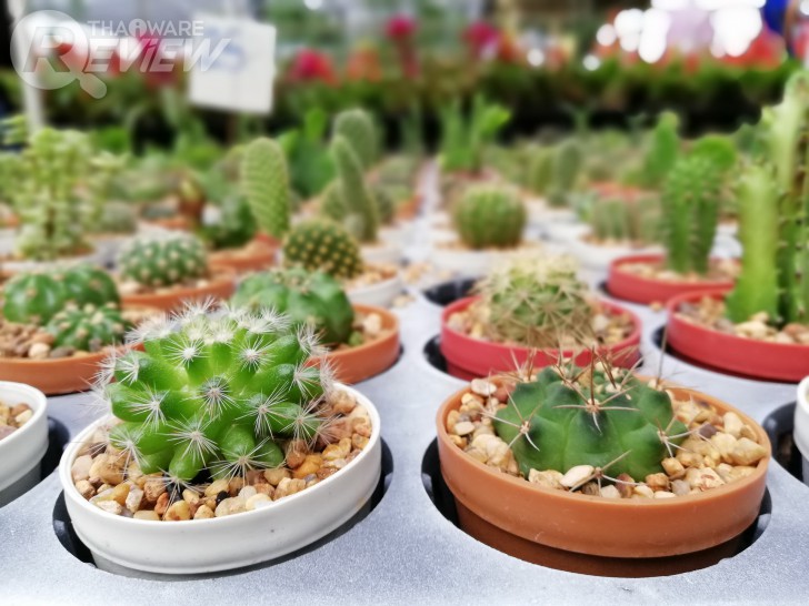 Huawei Nova 2i สมาร์ทโฟนราคากลางๆ ที่มาพร้อมสเปกเกือบเท่าเรือธง