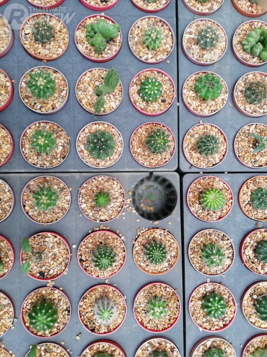 Huawei Nova 2i สมาร์ทโฟนราคากลางๆ ที่มาพร้อมสเปกเกือบเท่าเรือธง