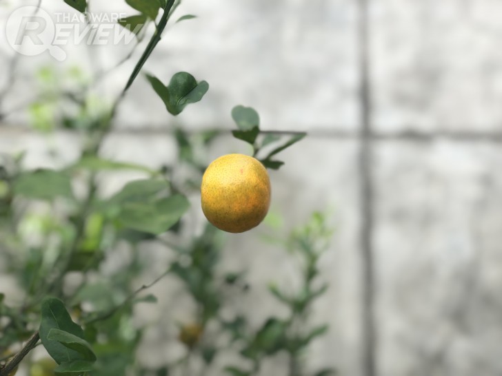 iPhone X เมื่อ Apple ทำให้ผมตกหลุมรัก iPhone อีกครั้ง