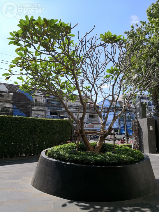 Huawei Mate 10 Pro สมาร์ทโฟนพลัง AI สุดแจ่ม พร้อมกล้องคู่รุ่นใหม่ที่เทพกว่าเดิม