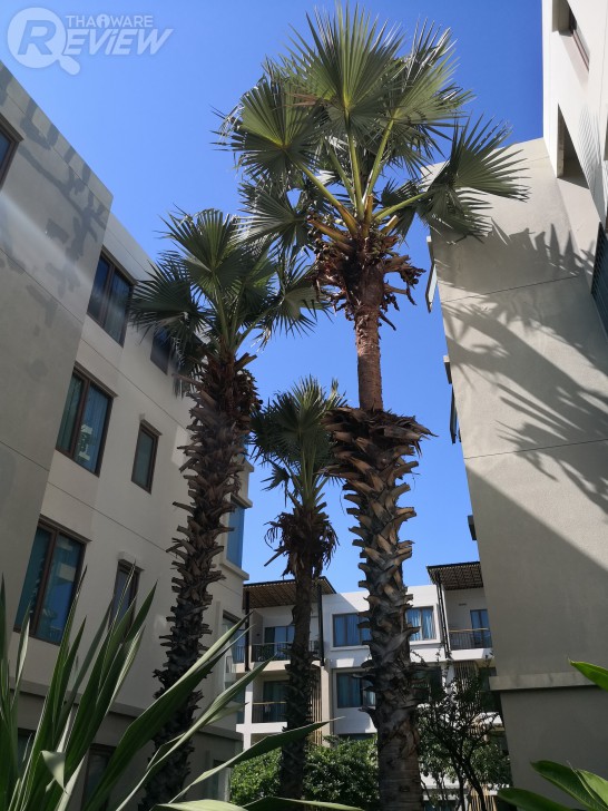 Huawei Mate 10 Pro สมาร์ทโฟนพลัง AI สุดแจ่ม พร้อมกล้องคู่รุ่นใหม่ที่เทพกว่าเดิม