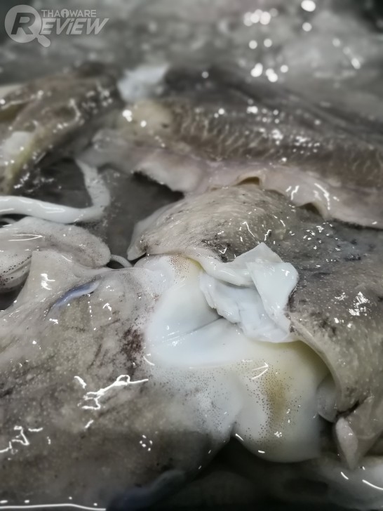 Huawei Mate 10 Pro สมาร์ทโฟนพลัง AI สุดแจ่ม พร้อมกล้องคู่รุ่นใหม่ที่เทพกว่าเดิม