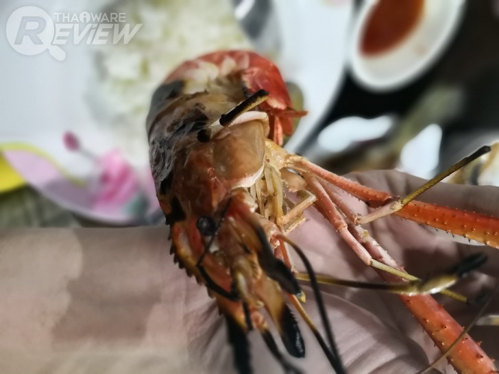 Huawei Mate 10 Pro สมาร์ทโฟนพลัง AI สุดแจ่ม พร้อมกล้องคู่รุ่นใหม่ที่เทพกว่าเดิม