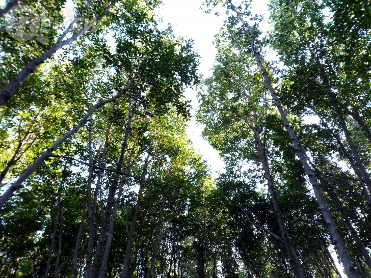 Zenfone Max Plus สมาร์ทโฟนระดับมิดเรนจ์ กล้องหลังเลนส์คู่ จอ Full View รุ่นแรกของ ASUS