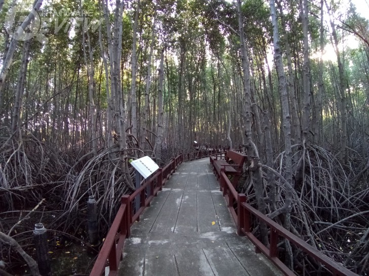 Zenfone Max Plus สมาร์ทโฟนระดับมิดเรนจ์ กล้องหลังเลนส์คู่ จอ Full View รุ่นแรกของ ASUS