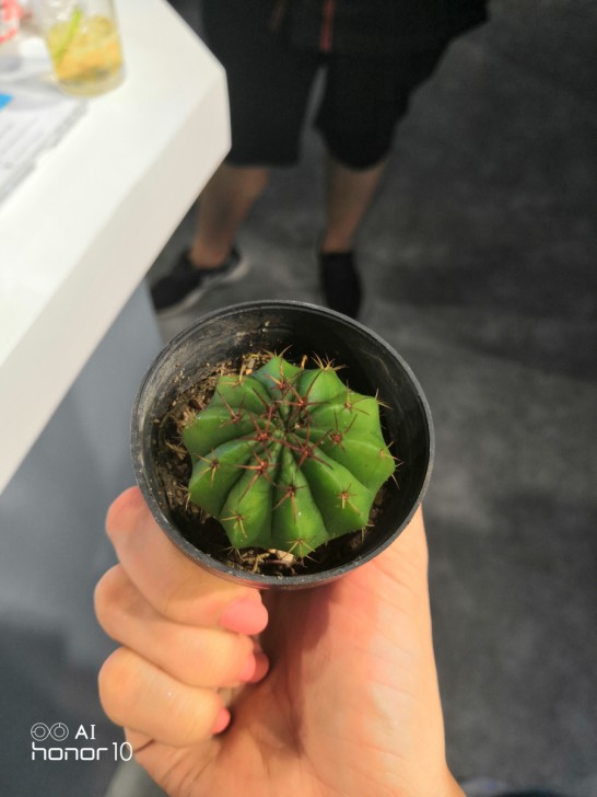 Honor 10 มือถือตัวแรงกล้องเด่น เรือนร่างงดงาม ในราคา 13,990 บาท