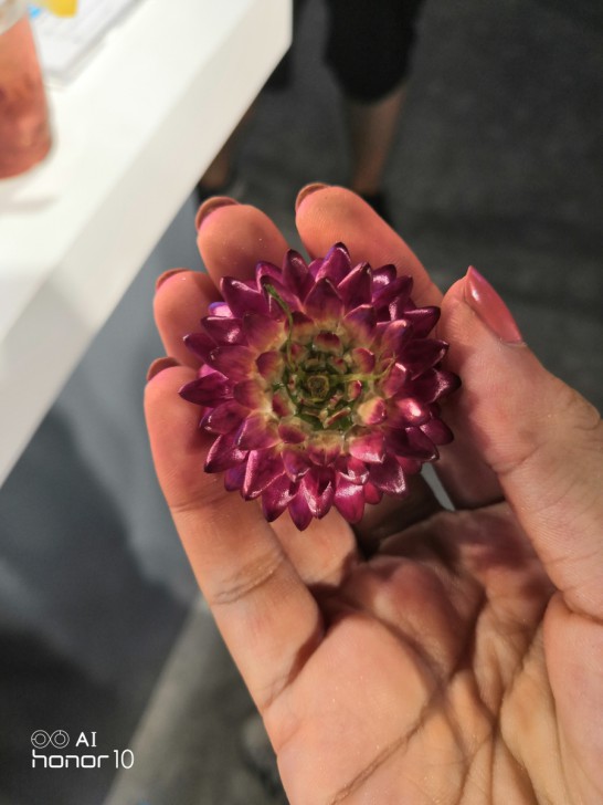 Honor 10 มือถือตัวแรงกล้องเด่น เรือนร่างงดงาม ในราคา 13,990 บาท