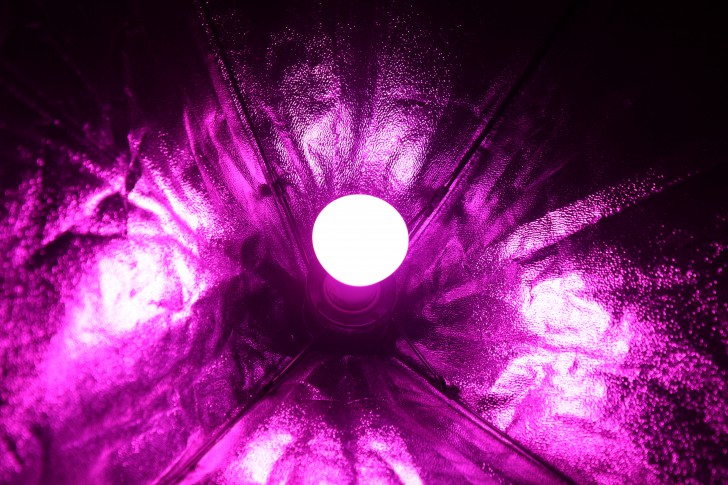 Philips Hue หลอดไฟอัจฉริยะ อิสระแห่งแสงสี ที่หาไม่ได้จากหลอดไฟทั่วไป