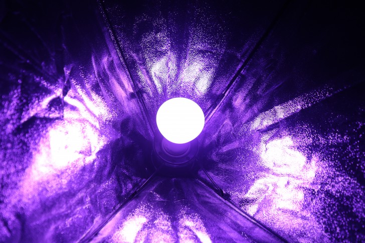 Philips Hue หลอดไฟอัจฉริยะ อิสระแห่งแสงสี ที่หาไม่ได้จากหลอดไฟทั่วไป