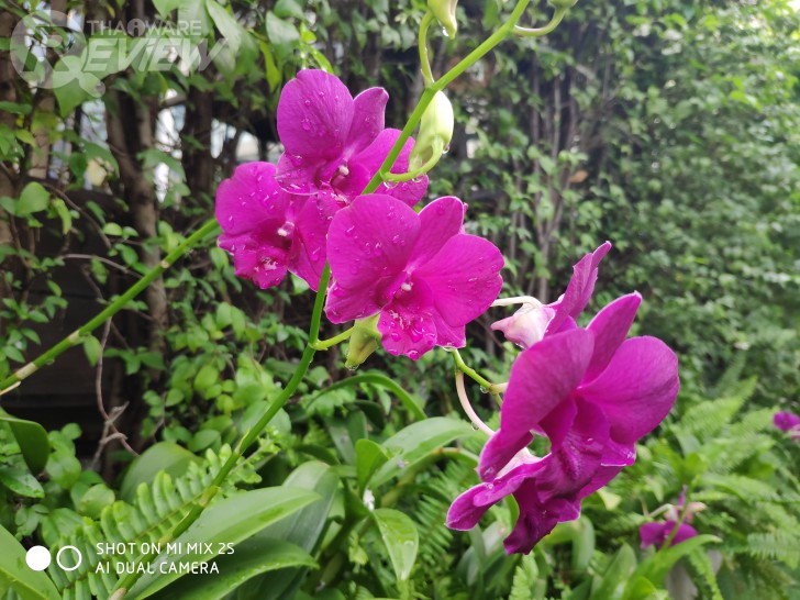 Xiaomi Mi Mix 2S มือถือสุดแรง ราคาสุดถูก เมื่อศิลปะมาบรรจบกับเทคโนโลยี