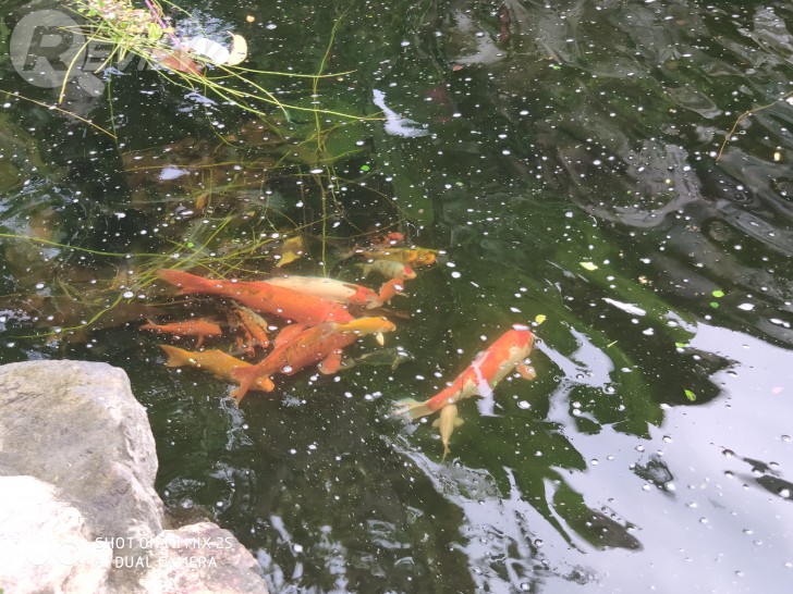 Xiaomi Mi Mix 2S มือถือสุดแรง ราคาสุดถูก เมื่อศิลปะมาบรรจบกับเทคโนโลยี