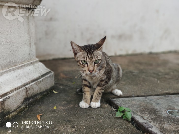 Xiaomi Mi Mix 2S มือถือสุดแรง ราคาสุดถูก เมื่อศิลปะมาบรรจบกับเทคโนโลยี