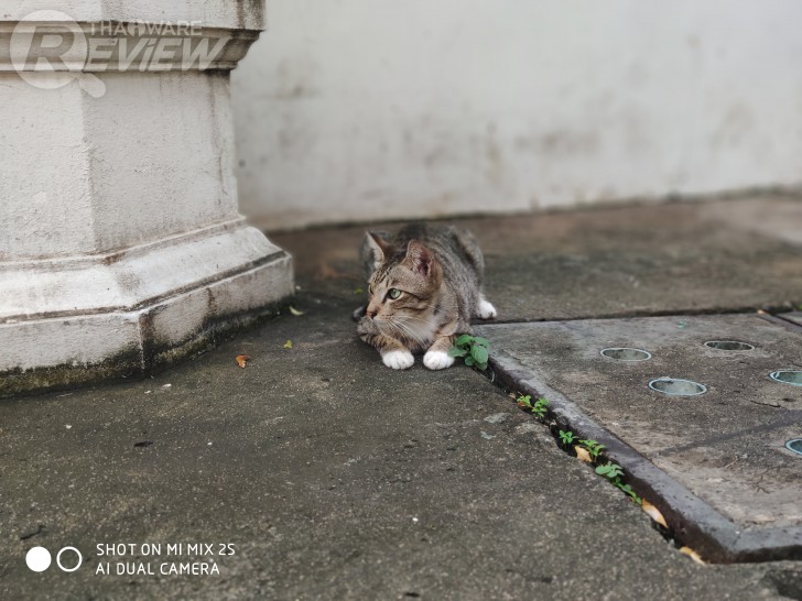 Xiaomi Mi Mix 2S มือถือสุดแรง ราคาสุดถูก เมื่อศิลปะมาบรรจบกับเทคโนโลยี