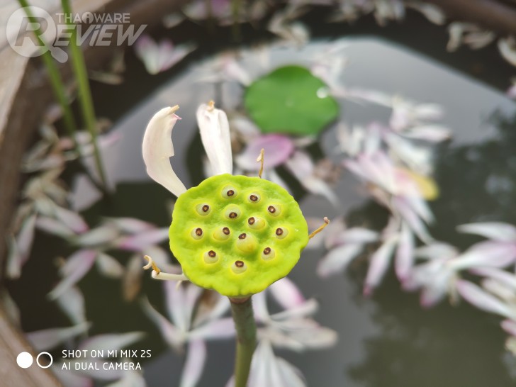 Xiaomi Mi Mix 2S มือถือสุดแรง ราคาสุดถูก เมื่อศิลปะมาบรรจบกับเทคโนโลยี