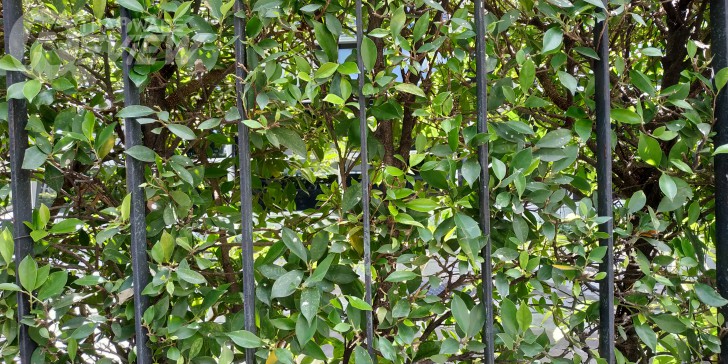 Redmi Note 5 สมาร์ทโฟนราคาประหยัด จัดเต็มด้วยชิปเซ็ตเสริมพลังกล้องคู่และการเล่นเกมส์