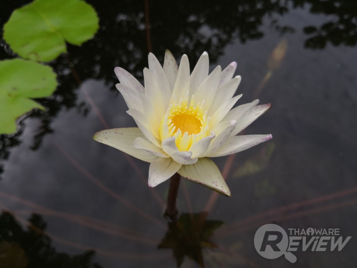 Honor 10 ศักดิ์ศรีแห่งสมาร์ทโฟนระดับท็อป ในราคาเพียง 13,990 บาท