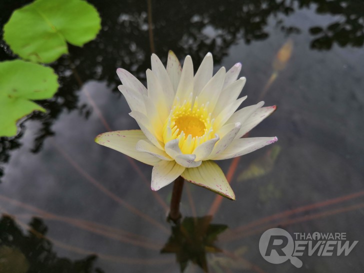 Honor 10 ศักดิ์ศรีแห่งสมาร์ทโฟนระดับท็อป ในราคาเพียง 13,990 บาท