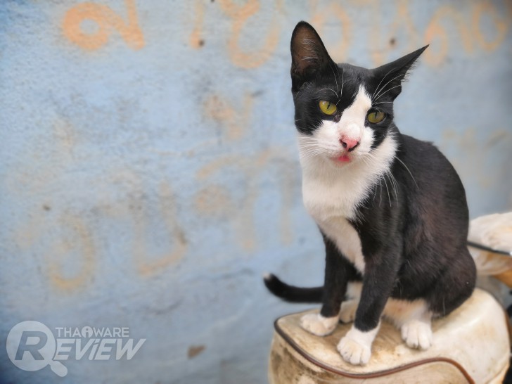 Honor 10 ศักดิ์ศรีแห่งสมาร์ทโฟนระดับท็อป ในราคาเพียง 13,990 บาท