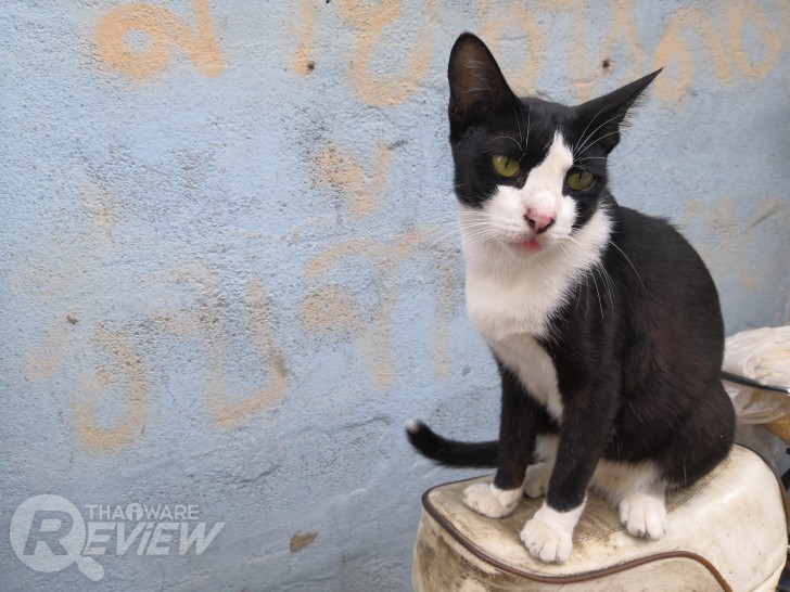Honor 10 ศักดิ์ศรีแห่งสมาร์ทโฟนระดับท็อป ในราคาเพียง 13,990 บาท