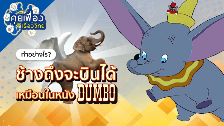 รีวิว คุยเฟื่องเรื่องวิทย์ ทำอย่างไร? ช้างถึงจะบินได้เหมือนในหนังเรื่อง Dumbo