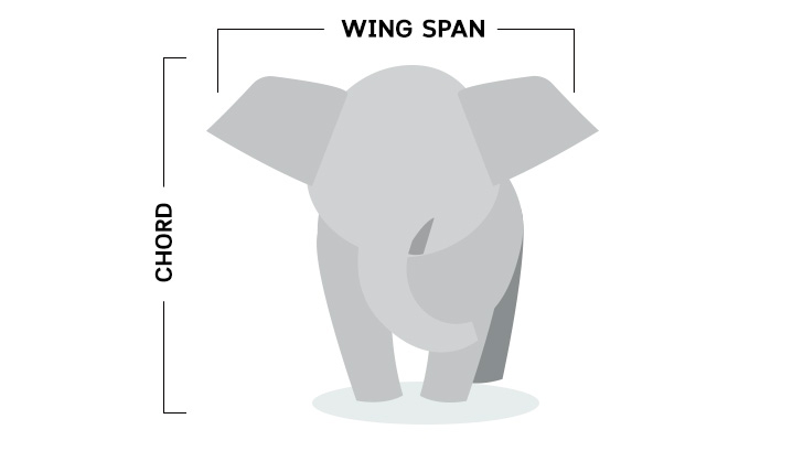 คุยเฟื่องเรื่องวิทย์ ทำอย่างไร? ช้างถึงจะบินได้เหมือนในหนังเรื่อง Dumbo คุยเฟื่องเรื่องวิทย์ ทำอย่างไร? ช้างถึงจะบินได้เหมือนในหนังเรื่อง Dumbo
