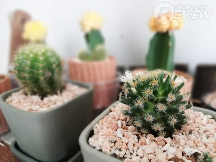 Huawei Nova 3e สมาร์ทโฟนมิดเรนจ์ กล้องดี เซลฟี่สวย ดีไซน์เรือธง