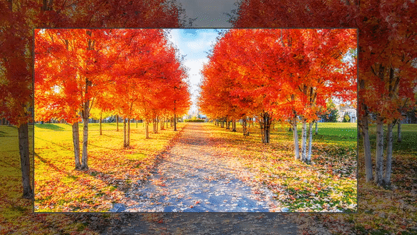 LG SUPER UHD TV 65SK9500 ทีวี 4K ระดับพรีเมี่ยมจาก LG ที่มาพร้อมจอ Nano Cell Display