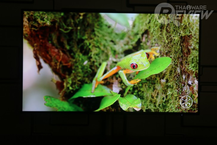 Dell 27 Ultrathin S2719DM จอ 2K สุดบาง แสดงสีสดใสสมจริง ทำกราฟฟิกก็ได้ ดูหนังก็ดี 